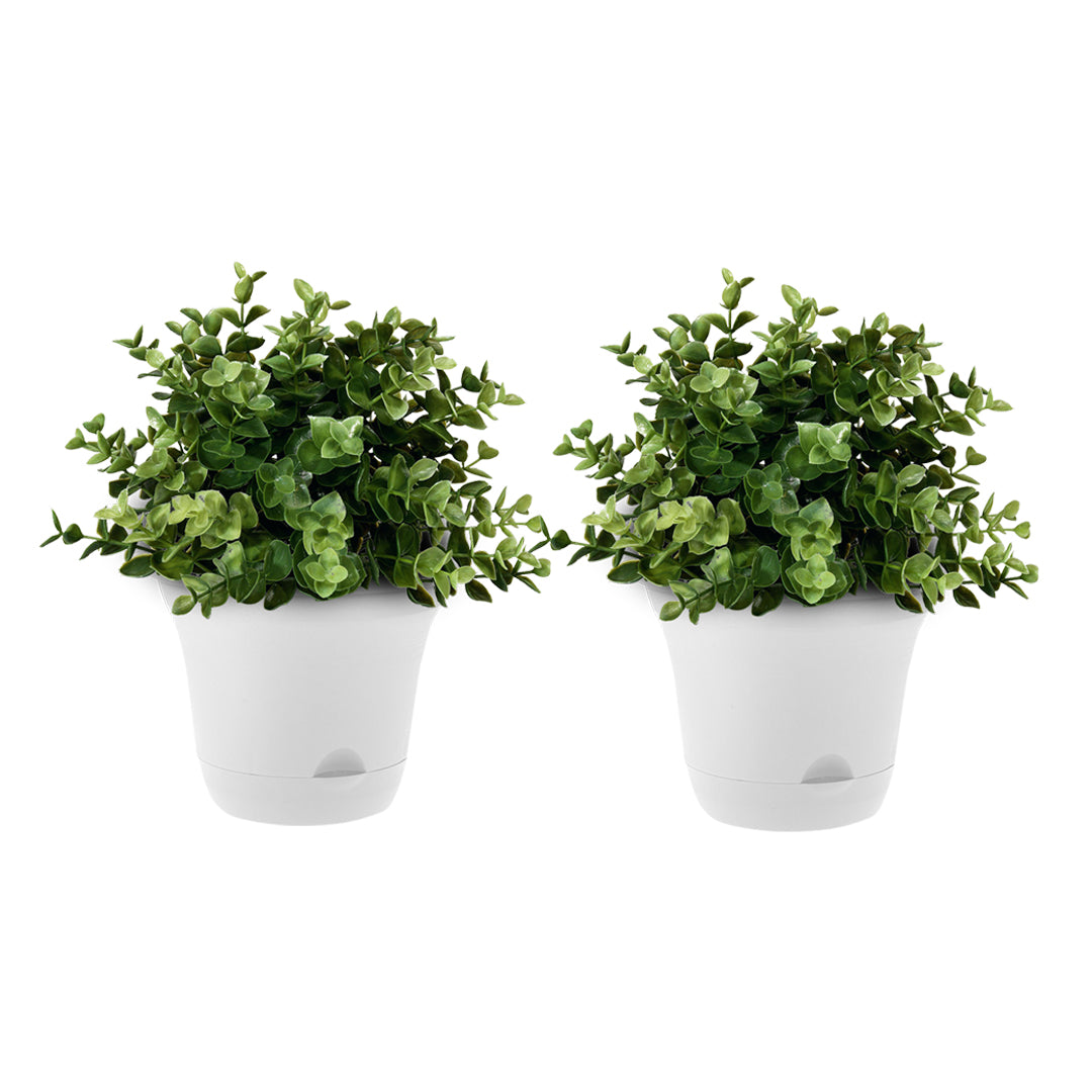 SOGA 19.5 cm White Plastic Plant Pot Self Watering Planter Flower Bonsai Indoor Outdoor Garden Decor Set of 2