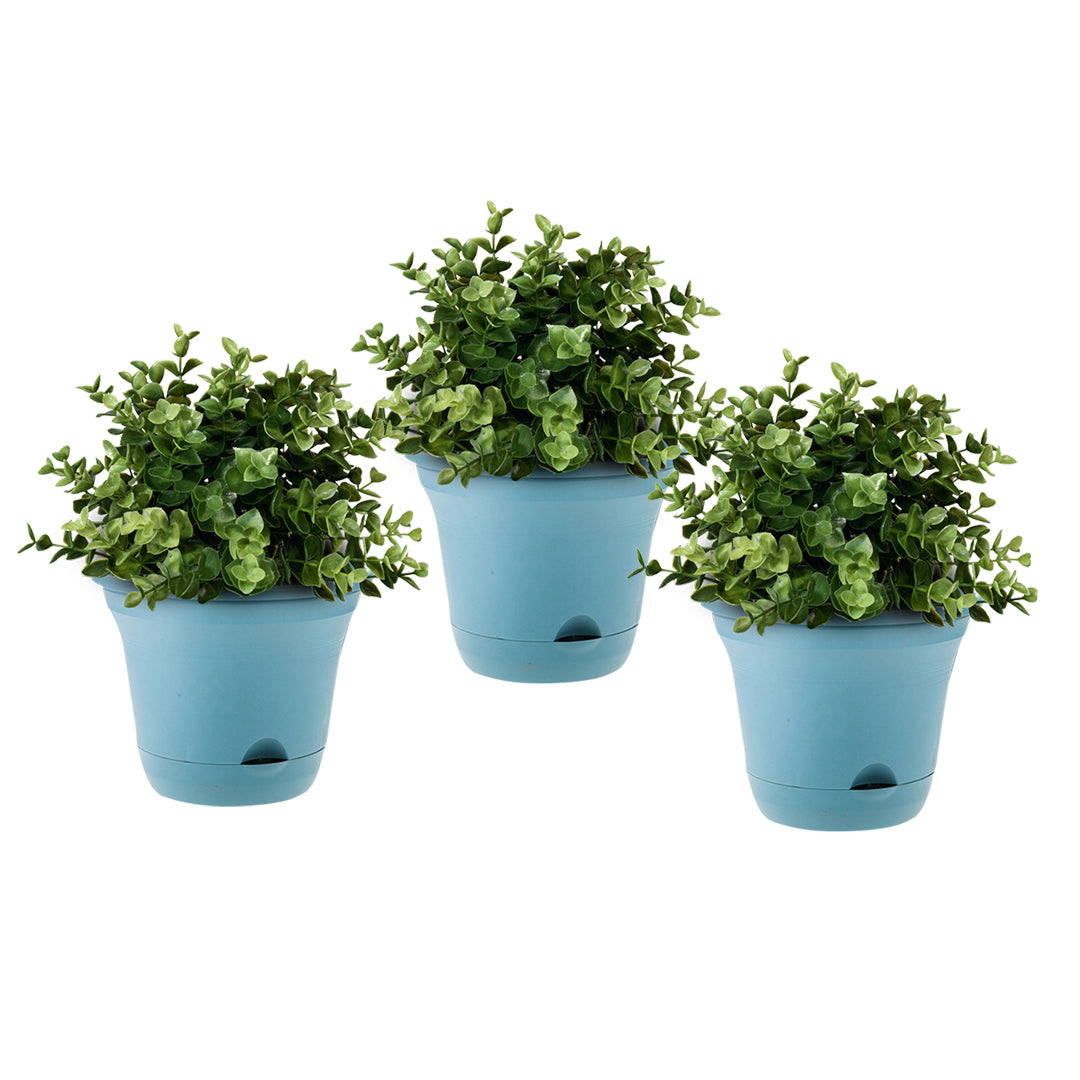 SOGA 19.5 cm Blue Plastic Plant Pot Self Watering Planter Flower Bonsai Indoor Outdoor Garden Decor Set of 3