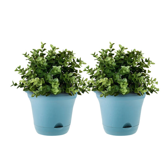 SOGA 19.5 cm Blue Plastic Plant Pot Self Watering Planter Flower Bonsai Outdoor Garden Decor Set of 2