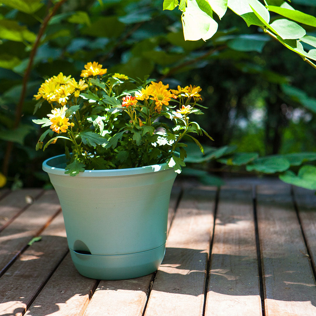 SOGA 19.5 cm Blue Plastic Plant Pot Self Watering Planter Flower Bonsai Outdoor Garden Decor Set of 2