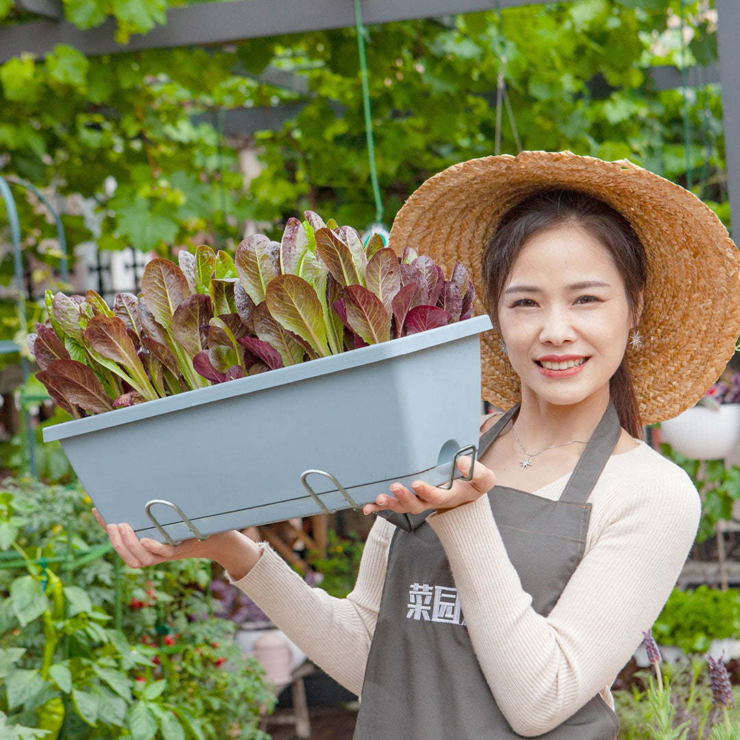 SOGA 49.5cm Blue Rectangular Planter Vegetable Herb Flower Outdoor Plastic Box with Holder Balcony Garden Decor Set of 5