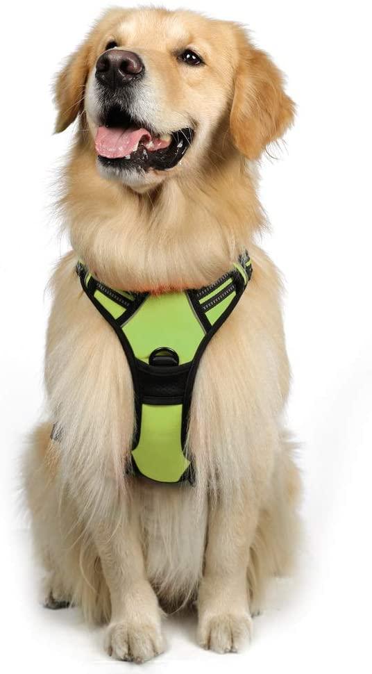 No Pull Dog Harness