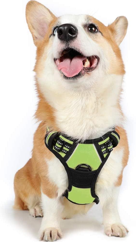 No Pull Dog Harness