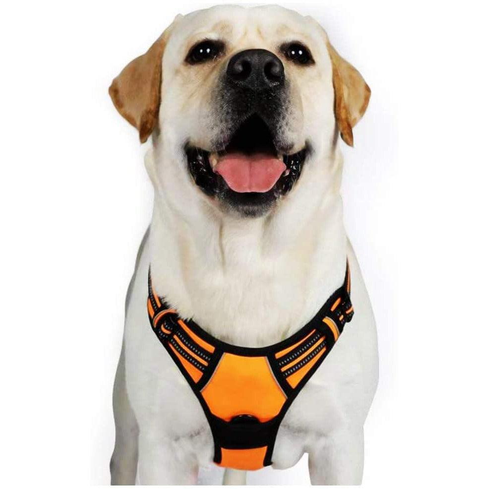 No Pull Dog Harness