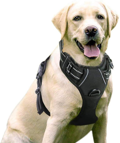 No Pull Dog Harness