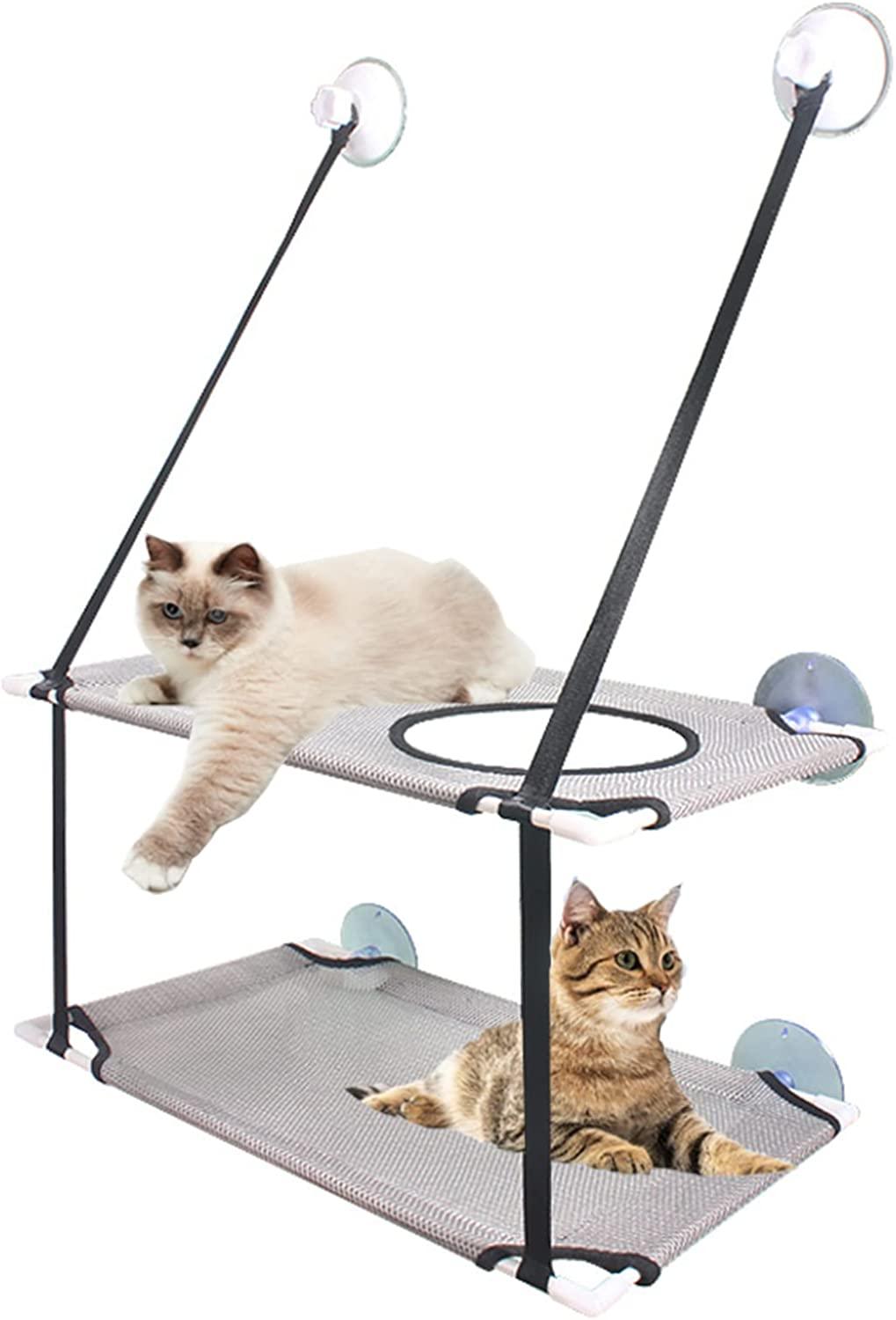 Double cat hammock best sale