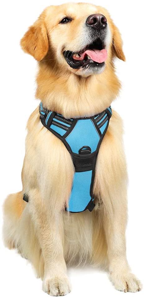 No Pull Dog Harness