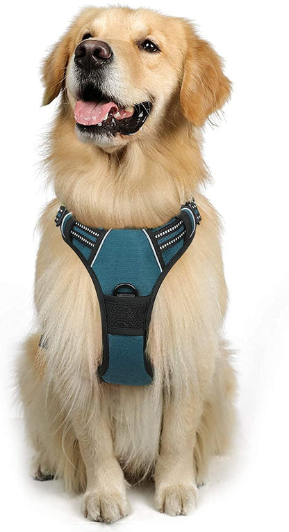 No Pull Dog Harness