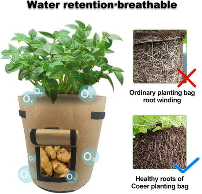 Grow Bags for Vegetables