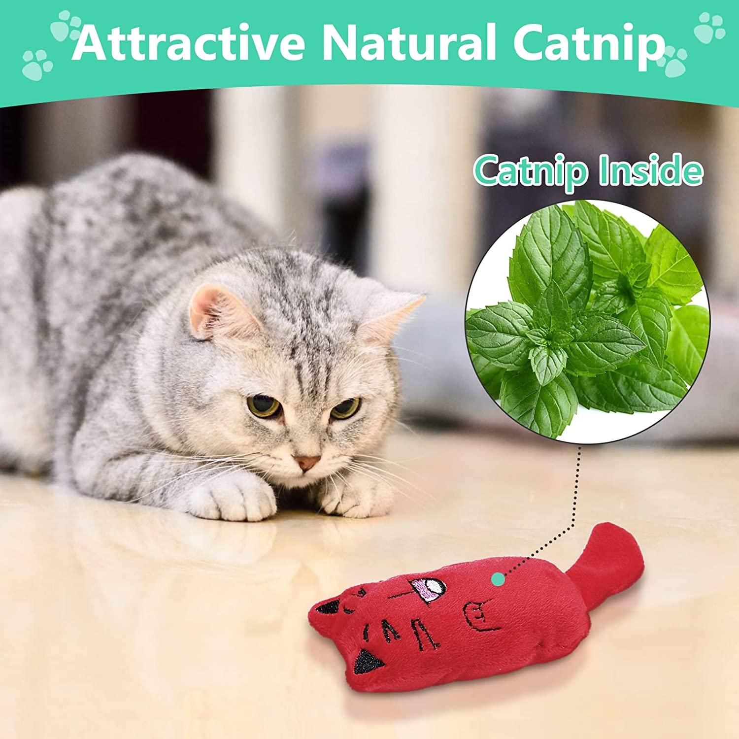 Catnip toys clearance australia