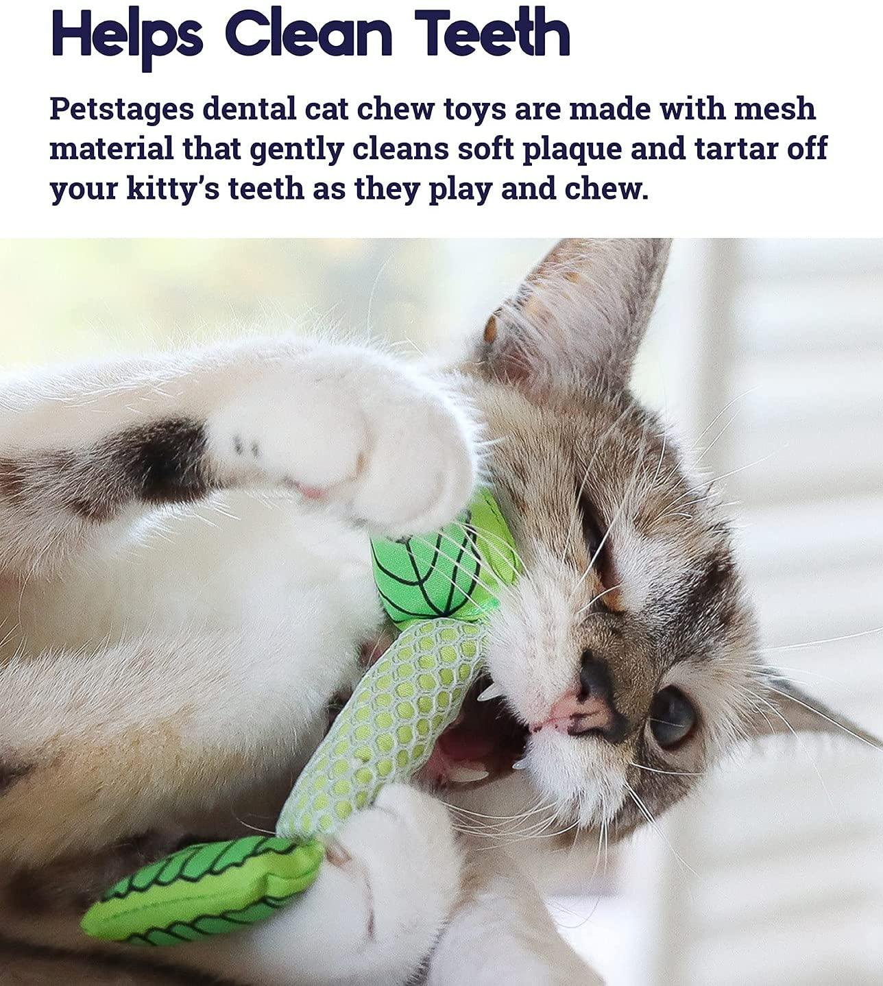 Cat chew 2024 toys australia